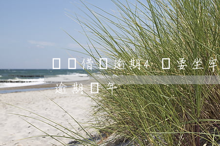 螞蟻借唄逾期4萬要坐牢嗎(螞蟻借唄了4萬逾期兩年)