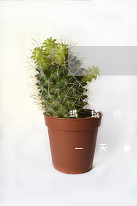 螞蟻借唄逾期6天會上征信(支付寶借唄逾期一天會上征信嘛)