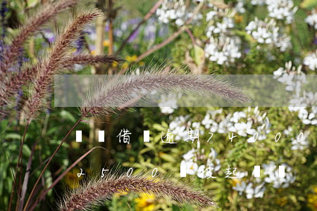 螞蟻借唄逾期74000多久起訴 借唄逾期2500會被起訴嗎