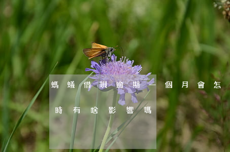 螞蟻借唄逾期一個月會怎樣(借唄逾期一個小時有啥影響嗎)
