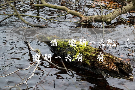螞蟻借唄逾期一天就關(guān)了(借唄逾期一天有沒有問題?)