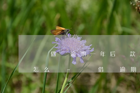 螞蟻借唄逾期一年后還款后結(jié)會怎么樣-螞蟻借唄逾期1年