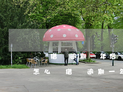 螞蟻借唄逾期一年后還款后結(jié)會怎么樣（借唄逾期一年后再還款）