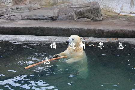 螞蟻借唄逾期一年會怎樣(螞蟻借唄逾期一年會怎樣)