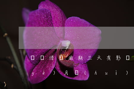 螞蟻借唄逾期三天有影響嗎(借唄逾期三個(gè)月會(huì)有什么后果)