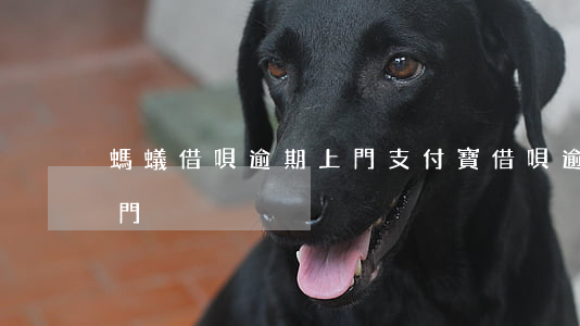 螞蟻借唄逾期上門（支付寶借唄逾期了多久上門）