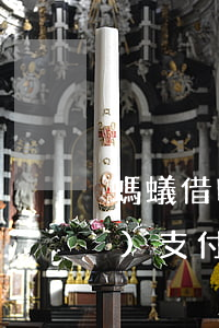螞蟻借唄逾期了兩個(gè)小時(shí)(支付寶借唄逾期一兩天有沒(méi)有事?)