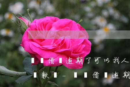 螞蟻借唄逾期了可以找人工協(xié)商還款嗎-螞蟻借唄逾期了可以找人工協(xié)商還款嗎
