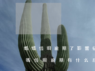 螞蟻借唄逾期了影響征信嗎(借唄逾期上征信嗎?借唄逾期有什么后果)