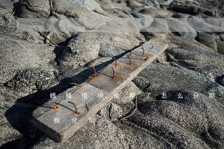 螞蟻借唄逾期了怎么分期還(借唄逾期了怎么辦分期)
