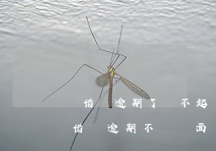 螞蟻借唄逾期了還不起會怎么樣，后果嚴重！螞蟻借唄逾期不還將面臨哪些懲罰？