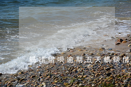 螞蟻借唄逾期五天(螞蟻借唄逾期五天)
