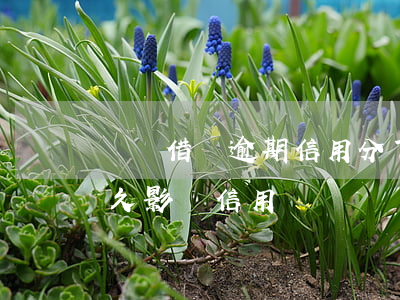 螞蟻借唄逾期信用分下降嗎(螞蟻借唄逾期多久影響信用)