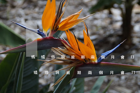 螞蟻借唄逾期兩個月會打電話給家人嗎-螞蟻借唄逾期兩個月會打電話給家人嗎