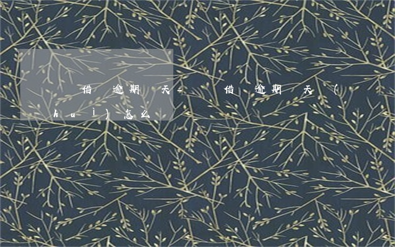 螞蟻借唄逾期兩天-螞蟻借唄逾期兩天會(huì)怎么樣