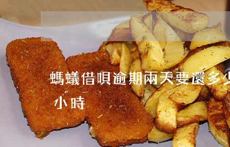 螞蟻借唄逾期兩天要還多少(借唄逾期兩個多小時)