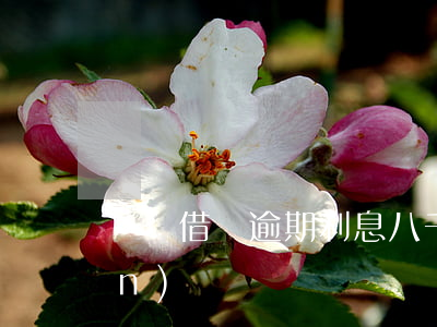 螞蟻借唄逾期利息八千(借唄逾期8萬(wàn))