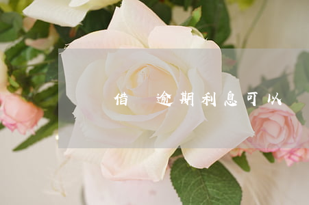 螞蟻借唄逾期利息可以協(xié)商嗎