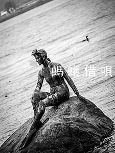 螞蟻借唄逾期利息合法嗎(借唄逾期費)