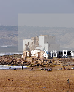 螞蟻借唄 逾期 利率(螞蟻借唄 逾期 利率)