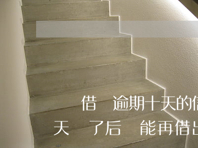 螞蟻借唄逾期十天的信息(螞蟻借唄逾期10天還了后還能再借出來(lái)么)