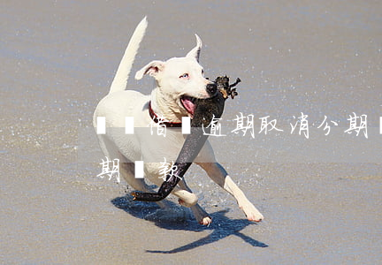 螞蟻借唄逾期取消分期還款(借唄怎么取消分期還款)
