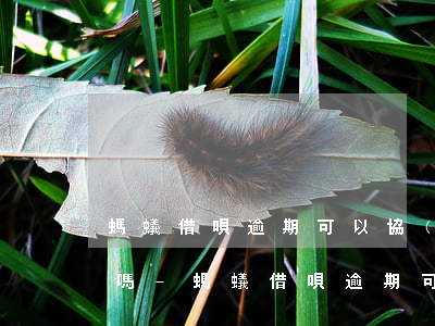 螞蟻借唄逾期可以協(xié)商減免利息嗎-螞蟻借唄逾期可以協(xié)商減免逾期費(fèi)嗎
