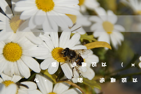 螞蟻借唄逾期可以協(xié)商還款本金么-螞蟻借唄逾期可以協(xié)商還款本金么嗎