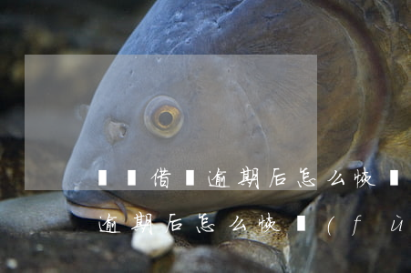 螞蟻借唄逾期后怎么恢復(fù)(螞蟻借唄逾期后怎么恢復(fù))