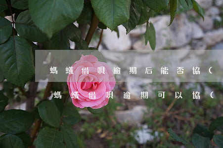 螞蟻借唄逾期后能否協(xié)商還款嗎 螞蟻借唄逾期可以協(xié)商