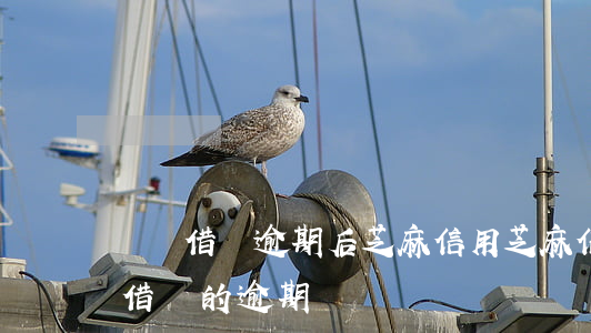 螞蟻借唄逾期后芝麻信用(芝麻信用可以消除借唄的逾期記錄嗎)
