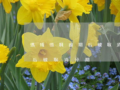 螞蟻借唄逾期后被取消分期-螞蟻借唄逾期后被取消分期