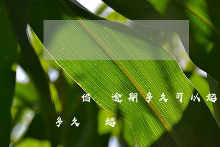 螞蟻借唄逾期多久可以起訴(支付寶借唄逾期多久會起訴)