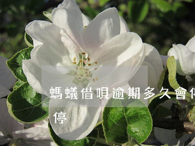 螞蟻借唄逾期多久會停用(借唄逾期幾天會被停)