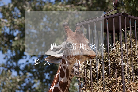 螞蟻借唄逾期多久被起訴 欠支付寶借唄逾期多久會(huì)起訴