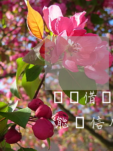 螞蟻借唄逾期對辦信用卡嗎(用了螞蟻借唄還能辦信用卡嗎)