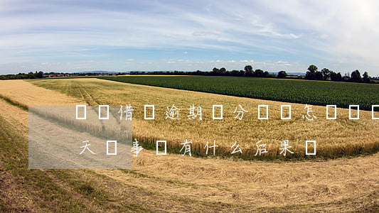 螞蟻借唄逾期幾分鐘會怎樣(螞蟻借唄逾期幾天沒事嗎 有什么后果嗎)