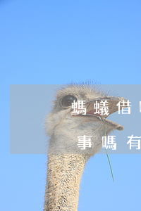 螞蟻借唄逾期幾天消除(螞蟻借唄逾期幾天沒事嗎 有什么后果嗎)