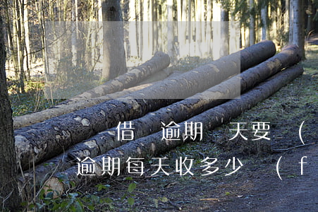 螞蟻借唄逾期幾天要錢(qián)嗎(借唄逾期每天收多少費(fèi)用)