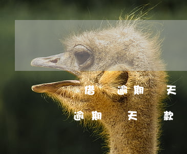 螞蟻借唄逾期幾天還款還有額度嗎-螞蟻借唄逾期幾天還款還有額度嗎怎么辦