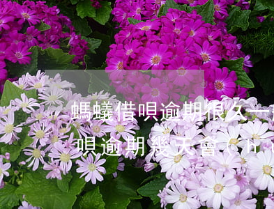 螞蟻借唄逾期很久一般打電話給誰-螞蟻借唄逾期幾天會(huì)打電話