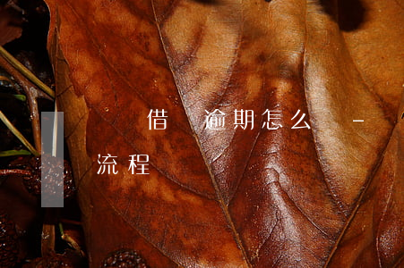螞蟻借唄 逾期怎么辦-螞蟻借唄逾期如何走流程