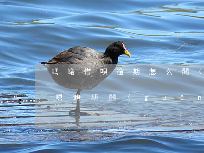 螞蟻借唄逾期怎么開(kāi)通(支付寶借唄逾期關(guān)閉了怎么可以開(kāi)通)
