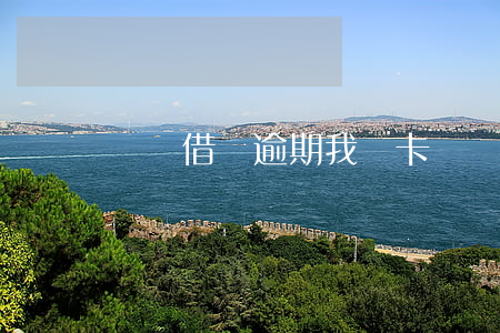 螞蟻借唄逾期 我愛卡