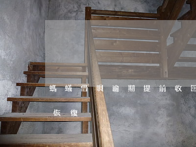 螞蟻借唄逾期提前收回(螞蟻借唄逾期多久能恢復)