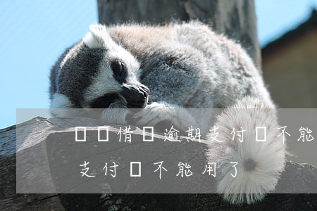 螞蟻借唄逾期支付寶不能用-螞蟻借唄逾期支付寶不能用了