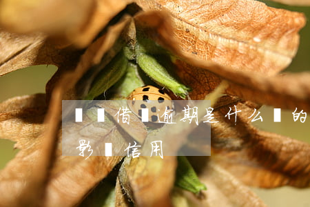 螞蟻借唄逾期是什么樣的(螞蟻借唄逾期多久影響信用)