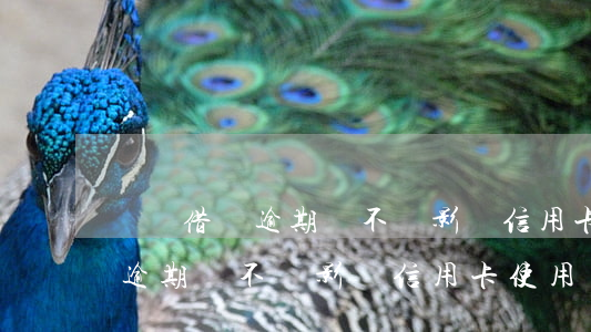 螞蟻借唄逾期會不會影響信用卡-螞蟻借唄逾期會不會影響信用卡使用