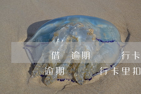 螞蟻借唄逾期會從銀行卡里扣款嗎-螞蟻借唄逾期會從銀行卡里扣款嗎安全嗎