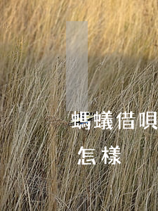 螞蟻借唄逾期會是什么后果(螞蟻借唄逾期會怎樣)